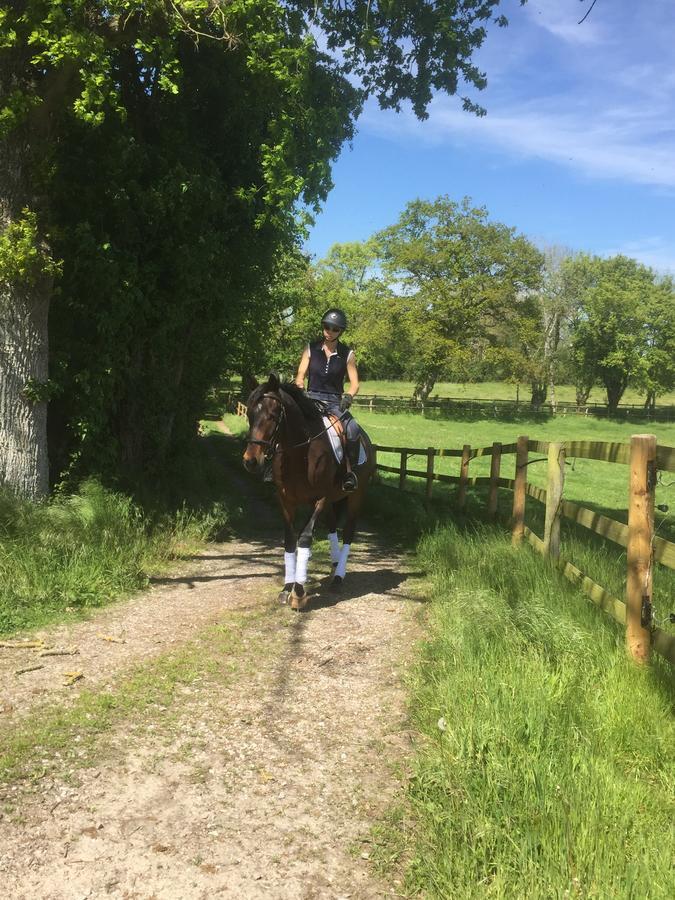Les Gites Haras Del Paradiso Boitron Luaran gambar