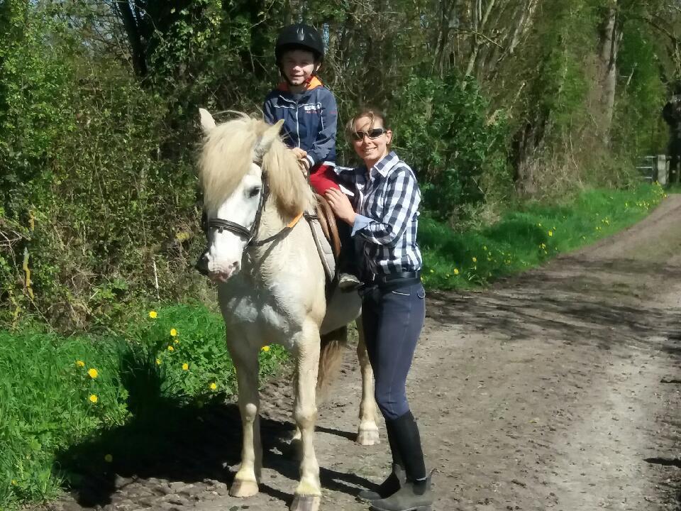 Les Gites Haras Del Paradiso Boitron Luaran gambar